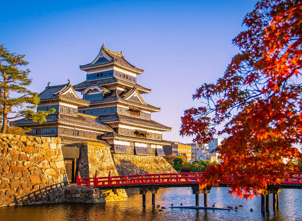 Kapalı Grup: Japonya (Burak Bey)