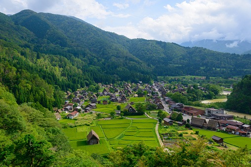 Bir Başka Japonya  Turu