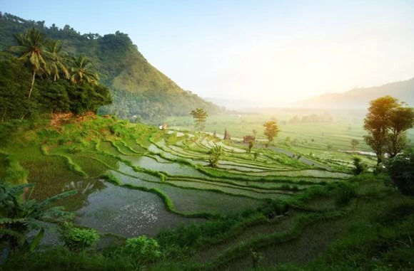 Malezya - Tayland - Singapur - Endonezya/Bali Turu