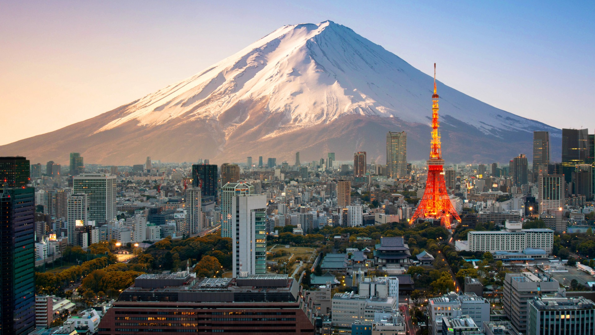 Kapalı Grup : Japonya